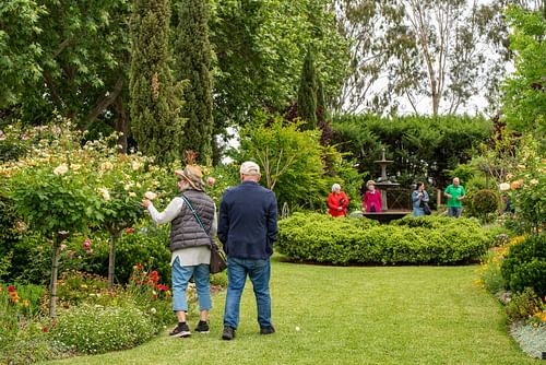 Griffith Spring Fest Celebrates 32 Years Of Open Gardens