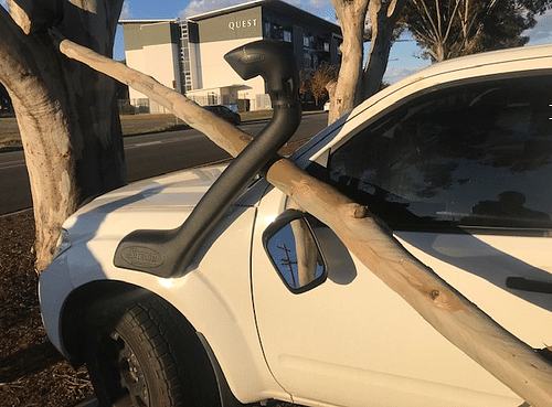 Unsafe Sugar Gum Trees Along Railway Street To Be Removed